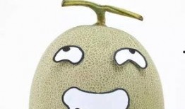 娱乐吃瓜不想停